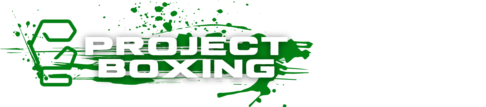 Project Boxing